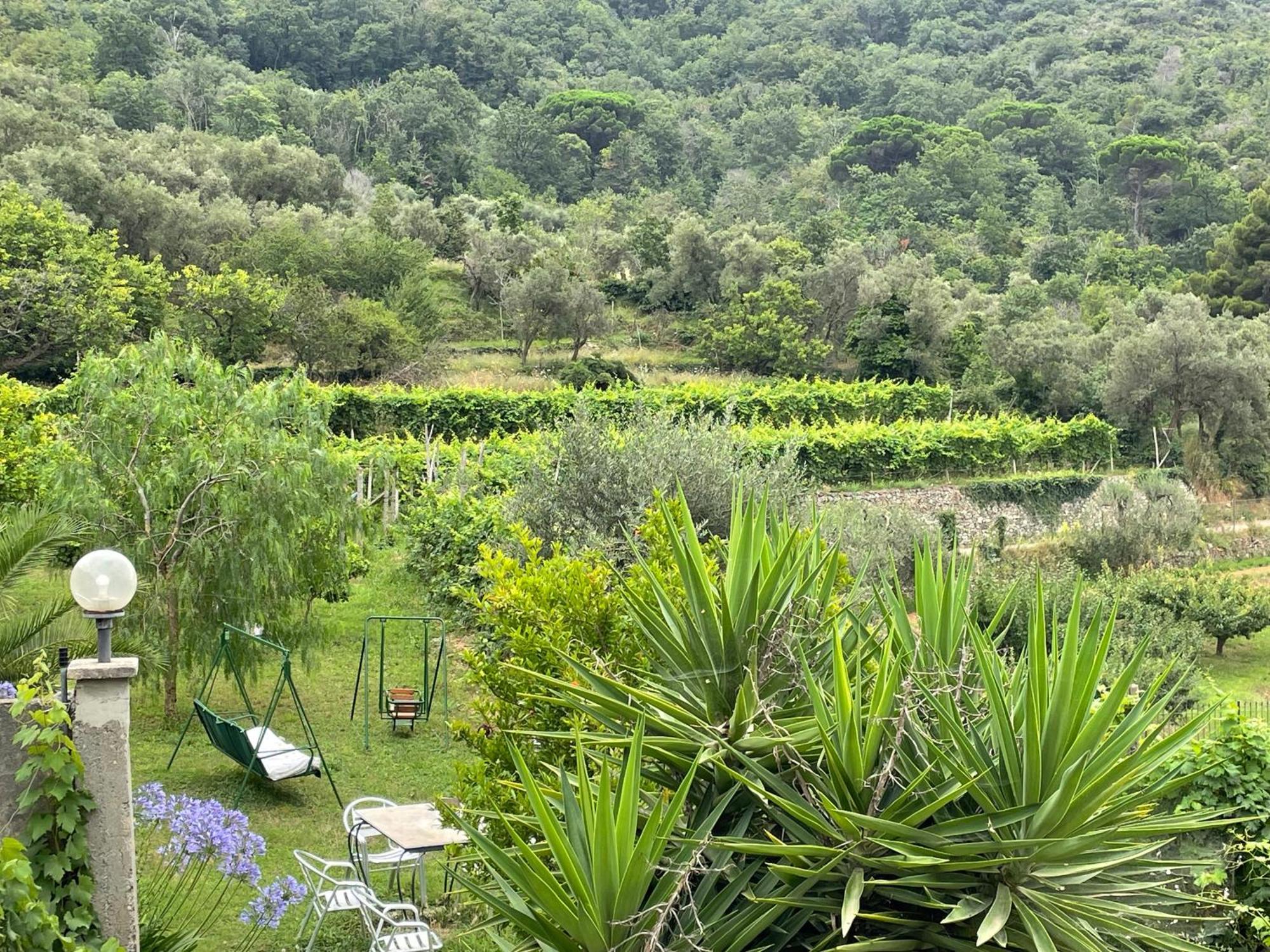 Agriturismo Barilaro Finale Ligure Bagian luar foto