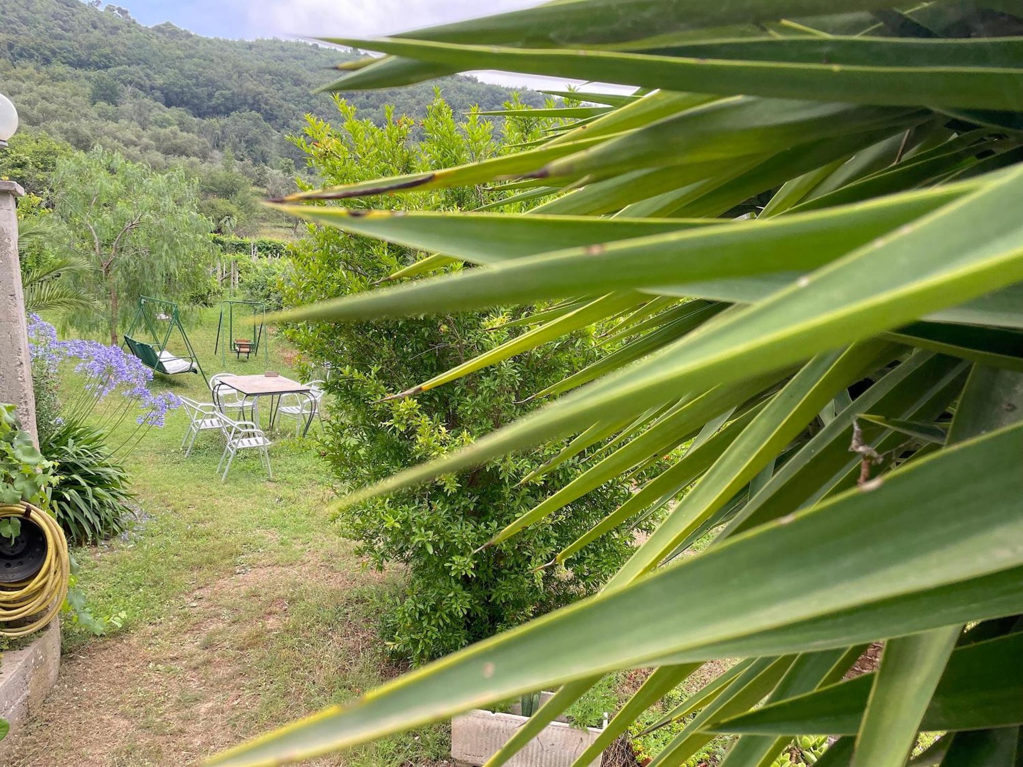 Agriturismo Barilaro Finale Ligure Bagian luar foto