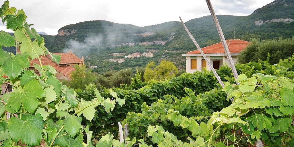 Agriturismo Barilaro Finale Ligure Bagian luar foto